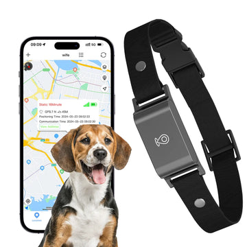 Coleira Mini 4G GPS - Cães e Gatos