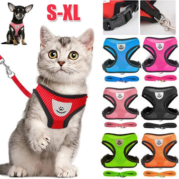 Coleira para Cães e Gatos com Guia Ajustável