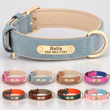 Custom Dog Collar