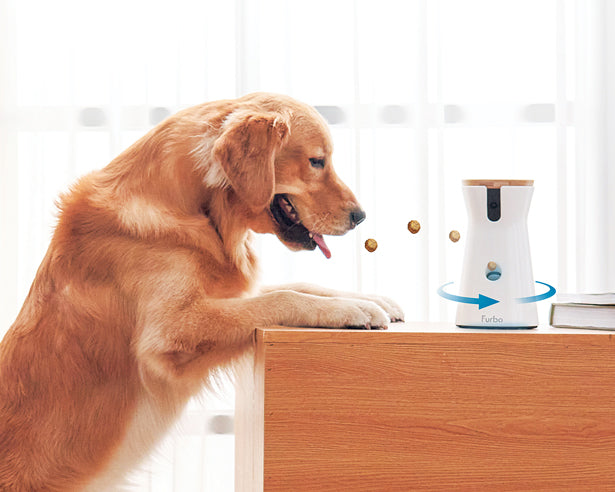PET GADGETS