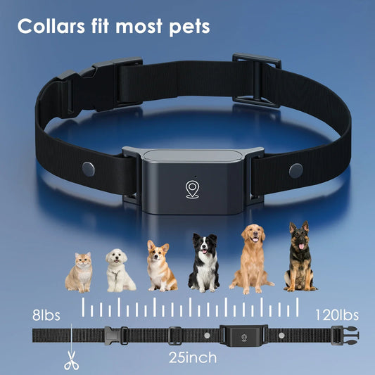 Coleira Mini 4G GPS - Cães e Gatos